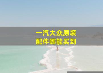 一汽大众原装配件哪能买到