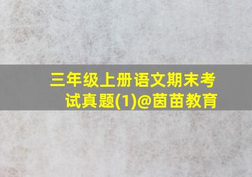 三年级上册语文期末考试真题(1)@茵苗教育