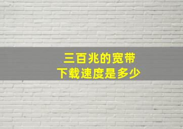 三百兆的宽带下载速度是多少