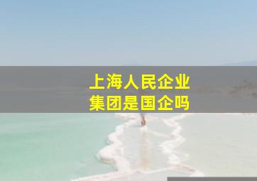 上海人民企业集团是国企吗