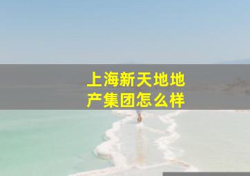 上海新天地地产集团怎么样