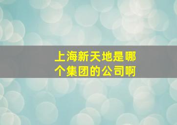 上海新天地是哪个集团的公司啊