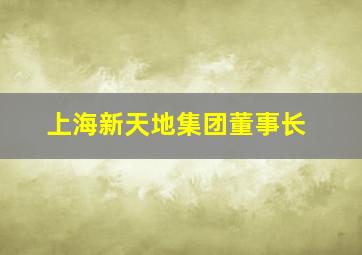 上海新天地集团董事长