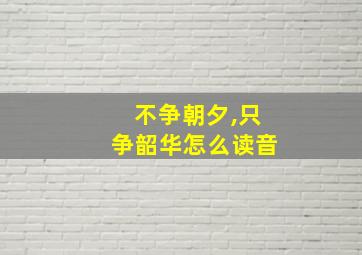 不争朝夕,只争韶华怎么读音