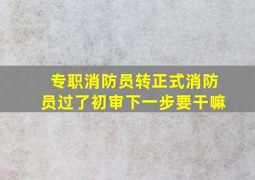 专职消防员转正式消防员过了初审下一步要干嘛