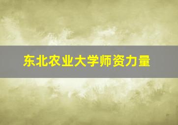 东北农业大学师资力量