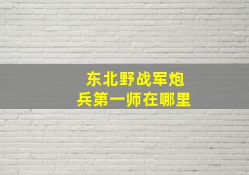 东北野战军炮兵第一师在哪里