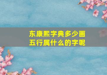 东康熙字典多少画五行属什么的字呢