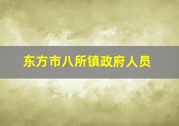 东方市八所镇政府人员