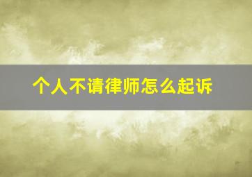 个人不请律师怎么起诉