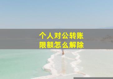 个人对公转账限额怎么解除