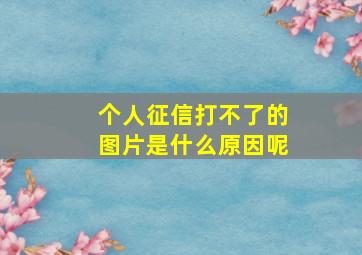 个人征信打不了的图片是什么原因呢