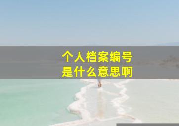 个人档案编号是什么意思啊