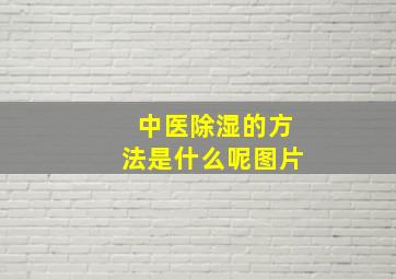 中医除湿的方法是什么呢图片