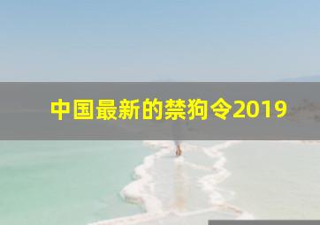 中国最新的禁狗令2019