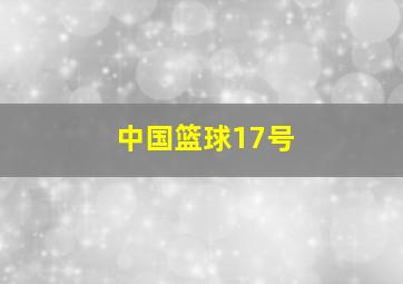 中国篮球17号