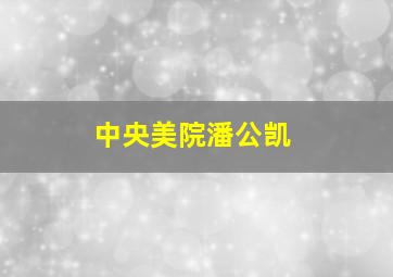 中央美院潘公凯