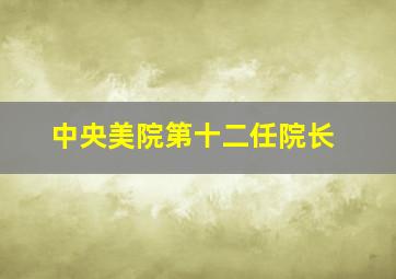 中央美院第十二任院长