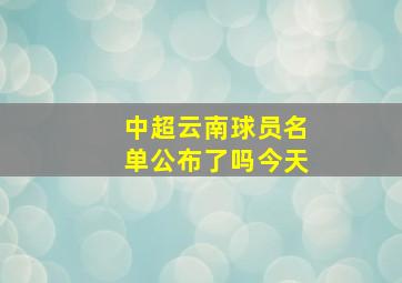 中超云南球员名单公布了吗今天