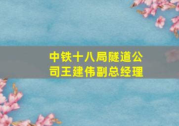 中铁十八局隧道公司王建伟副总经理