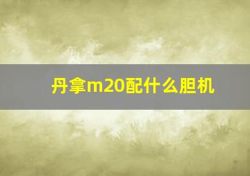 丹拿m20配什么胆机