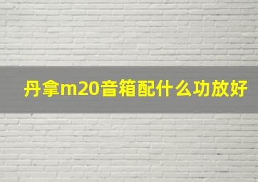 丹拿m20音箱配什么功放好