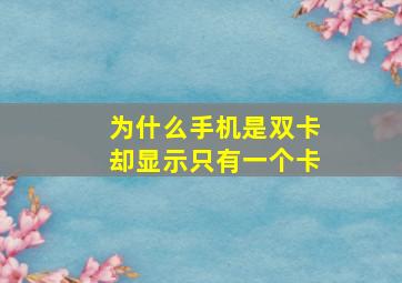 为什么手机是双卡却显示只有一个卡