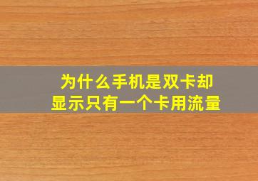 为什么手机是双卡却显示只有一个卡用流量