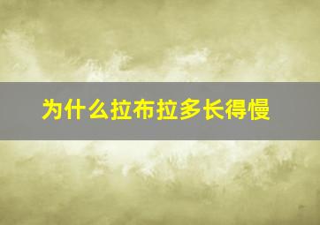 为什么拉布拉多长得慢