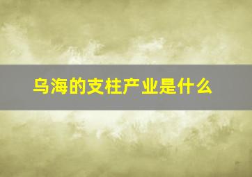 乌海的支柱产业是什么