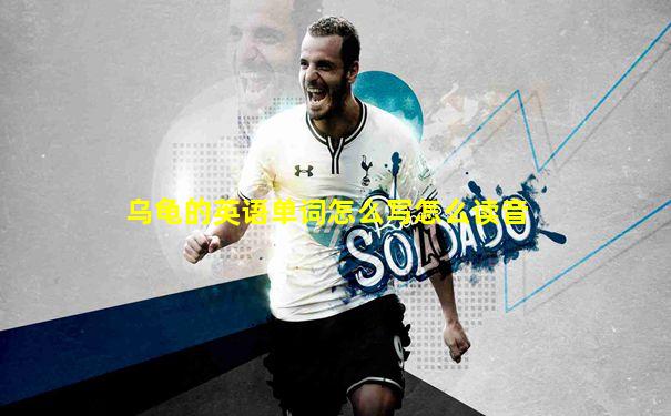乌龟的英语单词怎么写怎么读音