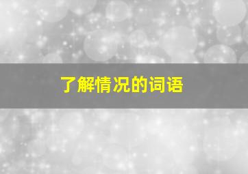 了解情况的词语