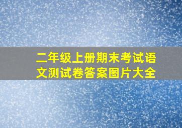 二年级上册期末考试语文测试卷答案图片大全