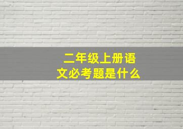 二年级上册语文必考题是什么