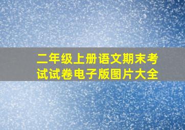 二年级上册语文期末考试试卷电子版图片大全