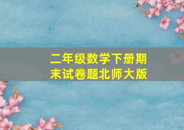 二年级数学下册期末试卷题北师大版