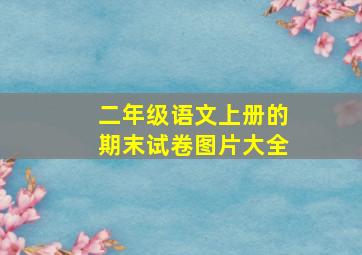 二年级语文上册的期末试卷图片大全