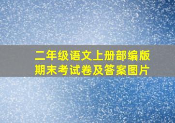 二年级语文上册部编版期末考试卷及答案图片