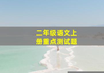 二年级语文上册重点测试题