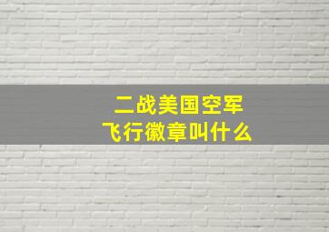 二战美国空军飞行徽章叫什么