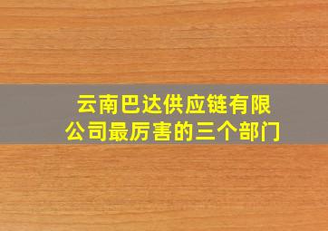 云南巴达供应链有限公司最厉害的三个部门