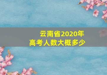 云南省2020年高考人数大概多少