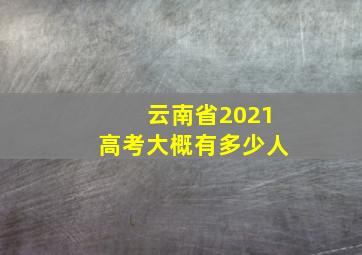 云南省2021高考大概有多少人