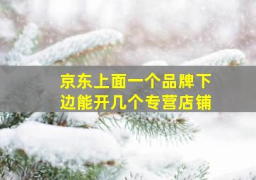 京东上面一个品牌下边能开几个专营店铺