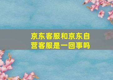 京东客服和京东自营客服是一回事吗