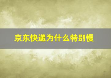 京东快递为什么特别慢