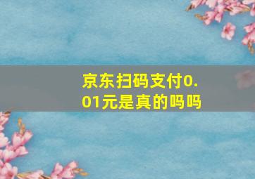 京东扫码支付0.01元是真的吗吗