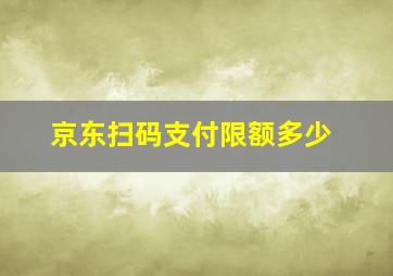 京东扫码支付限额多少