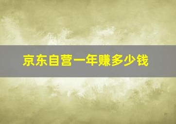 京东自营一年赚多少钱