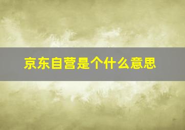 京东自营是个什么意思